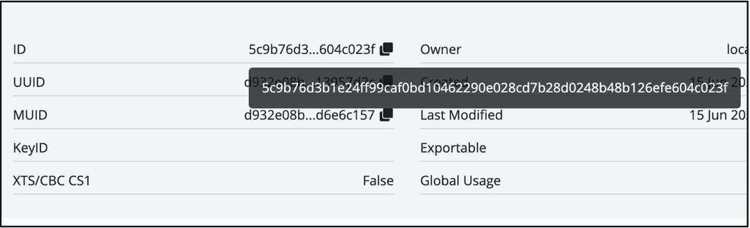 Thales CipherTrust Manager Key ID